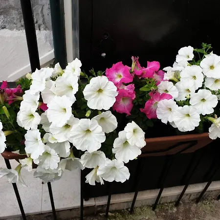 Готель типу 