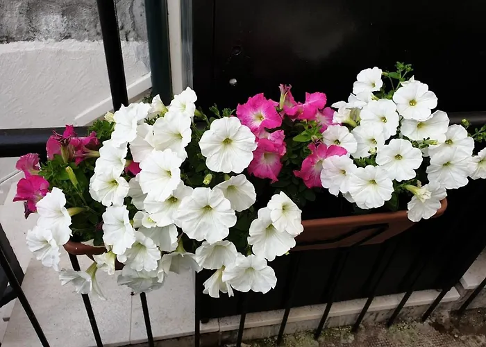 Bed & Breakfast Golden Spalato