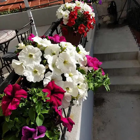 Golden Bed & Breakfast 3*