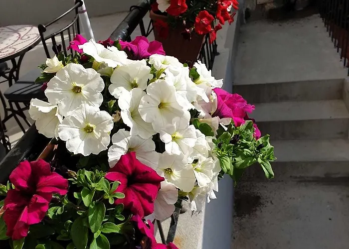 Golden B&B Bed & Breakfast 3*